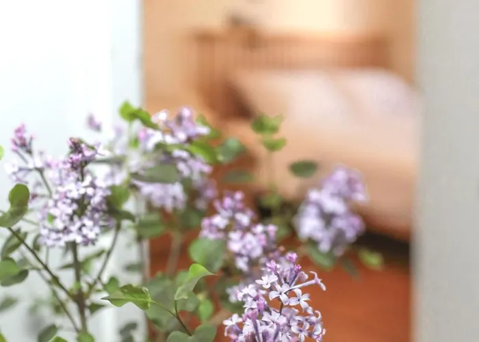 Loft -3room-'seoul No 1 View' -graden -pick Up When 5days アパート ソウル特別市