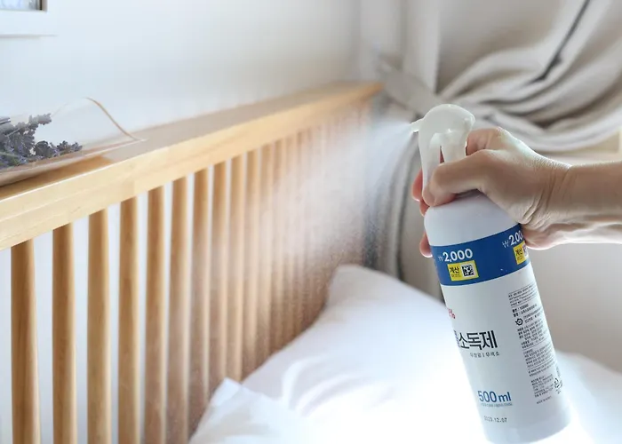 Loft -3room-'seoul No 1 View' -graden -pick Up When 5days